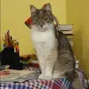 Отзыв от Полина Кукушкина